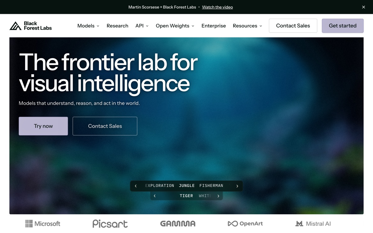 Screenshot of the FLUX website