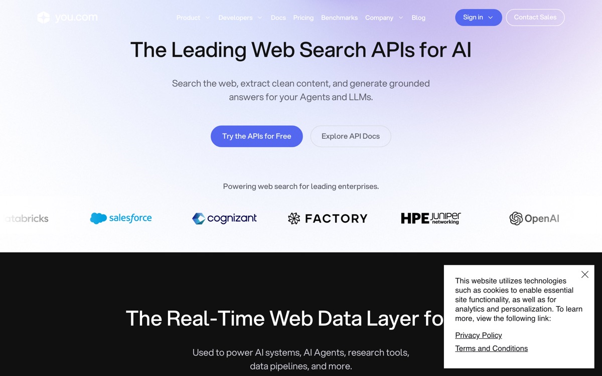 Screenshot of the You.com website